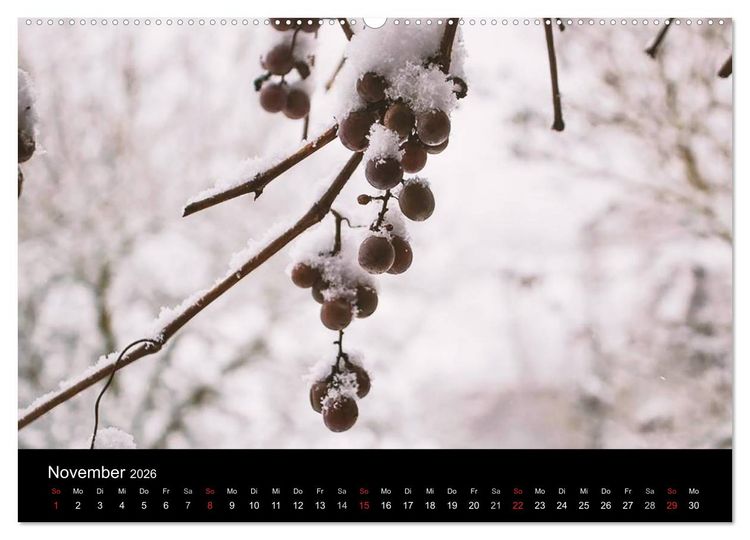Produktbild: Meine Heimat Westerwald (hochwertiger Premium Wandkalender 2026 DIN A2 quer), Kunstdruck in Hochglanz