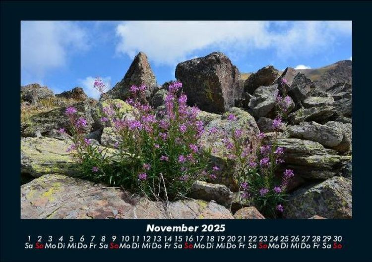 Produktbild: Blumentr&auml;ume 2025 Fotokalender DIN A5