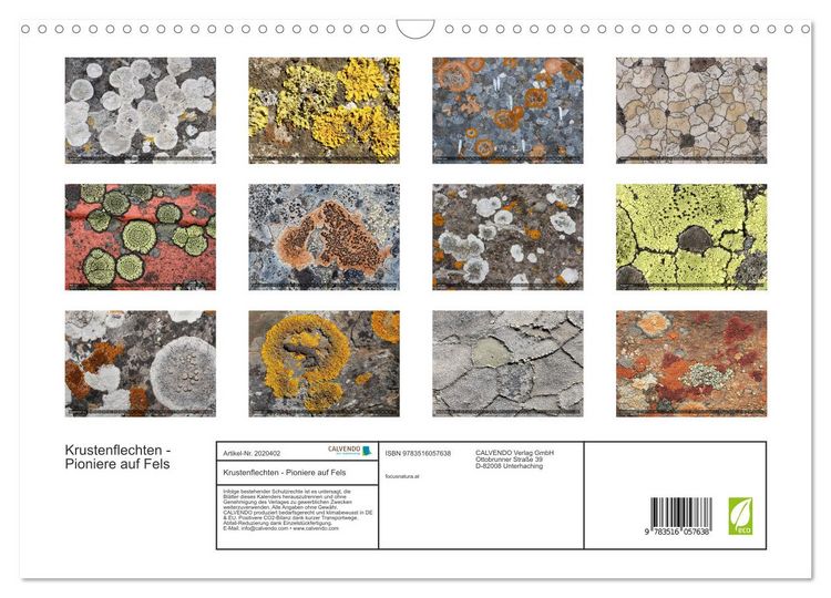Produktbild: Krustenflechten - Pioniere auf Fels (Wandkalender 2026 DIN A3 quer), CALVENDO Monatskalender