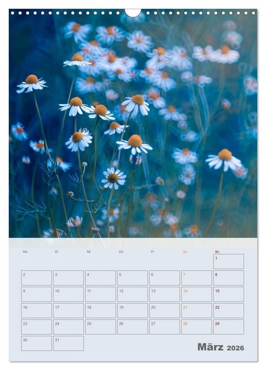 Produktbild: Magie im Garten (Wandkalender 2026 DIN A3 hoch), CALVENDO Monatskalender