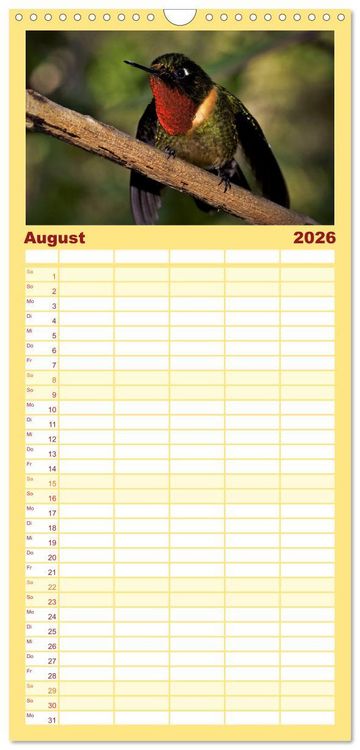Produktbild: Familienplaner 2026 - Kolibris; Anmut, Sch&ouml;nheit, Farben mit 5 Spalten (Wandkalender, 21 x 45 cm) CALVENDO