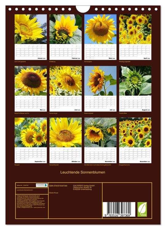 Produktbild: Leuchtende Sonnenblumen (Wandkalender 2026 DIN A4 hoch), CALVENDO Monatskalender
