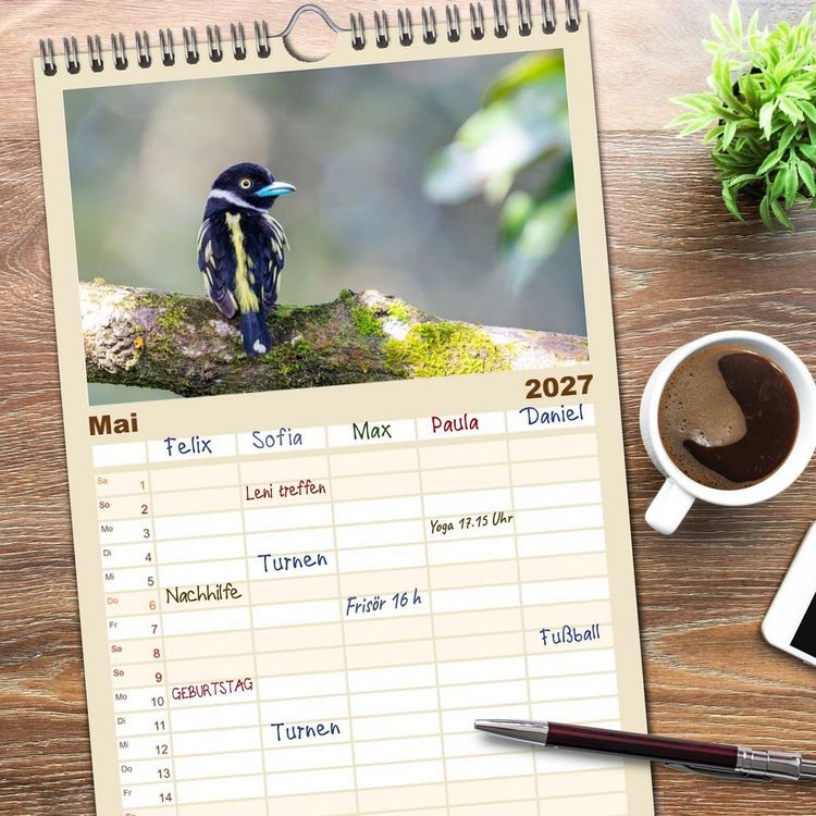 Produktbild: Familienplaner 2027 - Zwischen Nebel und Baumriesen - V&ouml;gel Borneos mit 5 Spalten (Wandkalender, 21 x 45 cm) CALVENDO