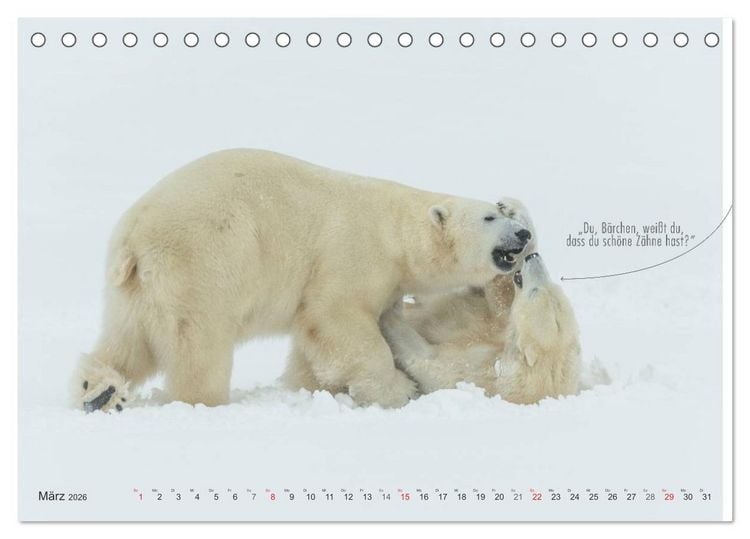 Produktbild: Emotionale Momente: Eisb&auml;ren - ganz menschlich gesehen. (Tischkalender 2026 DIN A5 quer), CALVENDO Monatskalender