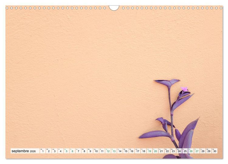 Produktbild: Burano et Minimalisme (Calendrier mural 2026 DIN A3 vertical), CALVENDO calendrier mensuel