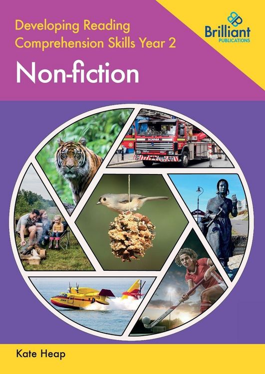 Produktbild: Developing Reading Comprehension Skills Year 2