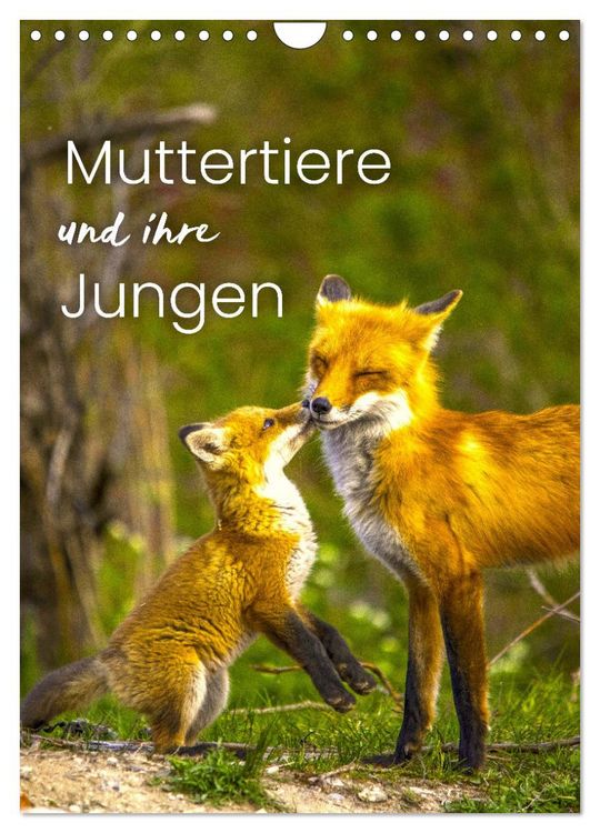 Produktbild: Muttertiere und ihre Jungen (Wandkalender 2026 DIN A4 hoch), CALVENDO Monatskalender