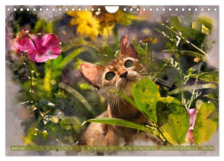 Produktbild: Katzenkalender mausgemalt (Wandkalender 2026 DIN A4 quer), CALVENDO Monatskalender