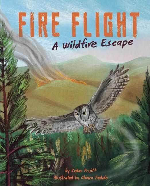 Produktbild: Fire Flight