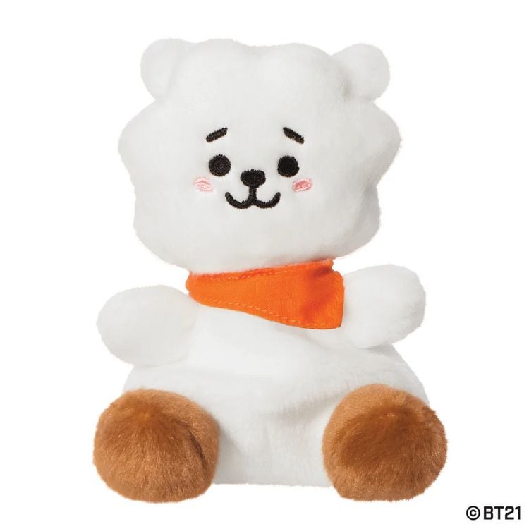 Produktbild: BT21 - RJ Palm Pal