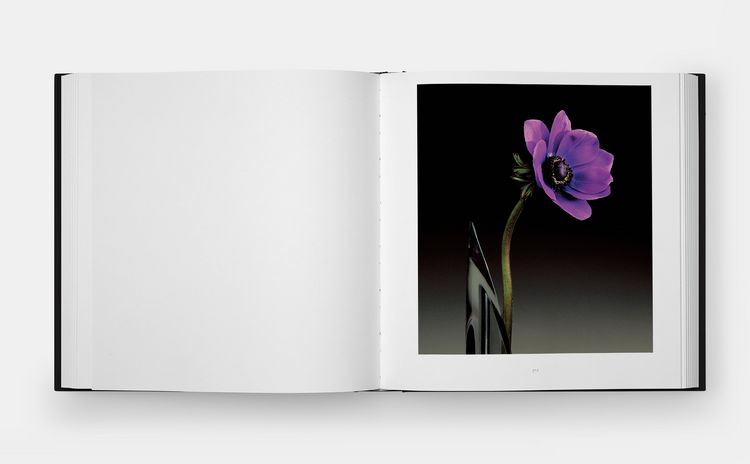 Produktbild: Mapplethorpe Flora: The Complete Flowers (2024)