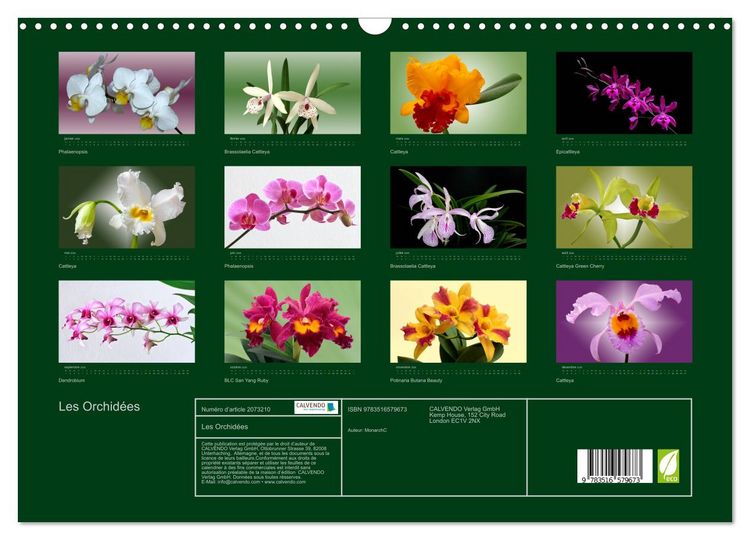 Produktbild: Les Orchid&eacute;es (Calendrier mural 2026 DIN A3 vertical), CALVENDO calendrier mensuel