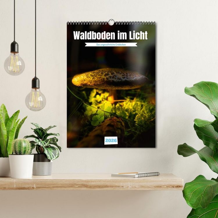 Produktbild: Waldboden im Licht (Wandkalender 2026 DIN A3 hoch), CALVENDO Monatskalender