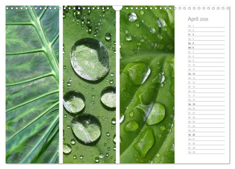 Produktbild: Nat&uuml;rlicher Dreiklang (Wandkalender 2026 DIN A3 quer), CALVENDO Monatskalender