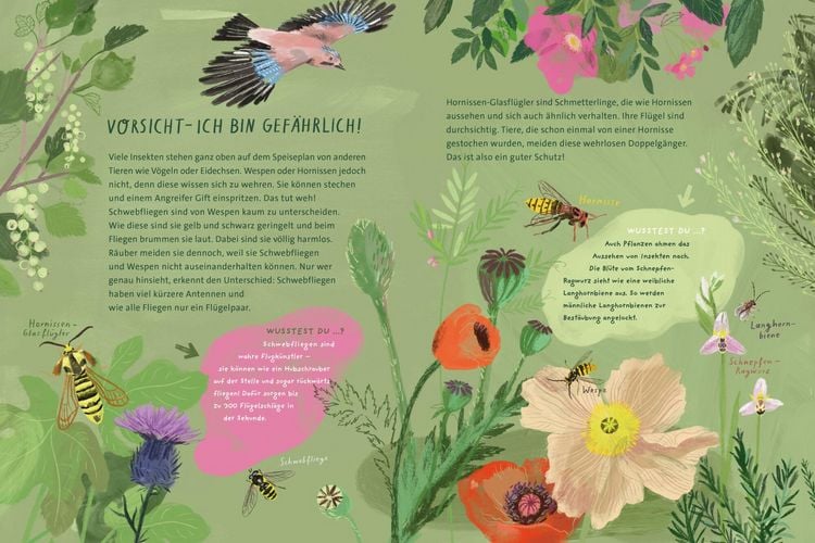 Produktbild: Tricksen, T&auml;uschen, Tarnen
