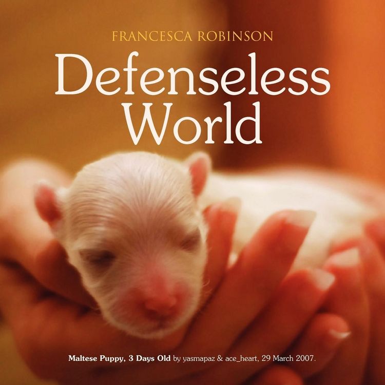 Produktbild: Defenseless World