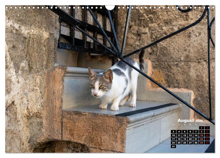 Produktbild: Katzen von Rhodos - Kleine G&ouml;tter auf vier Pfoten (Wandkalender 2026 DIN A3 quer), CALVENDO Monatskalender