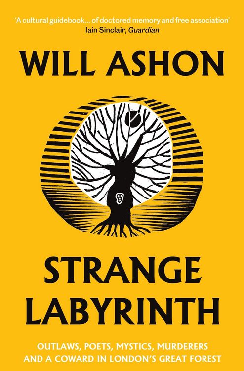 Produktbild: Strange Labyrinth