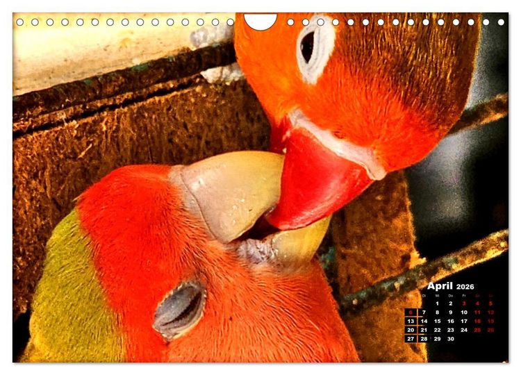 Produktbild: Die Unzertrennlichen (Wandkalender 2026 DIN A4 quer), CALVENDO Monatskalender
