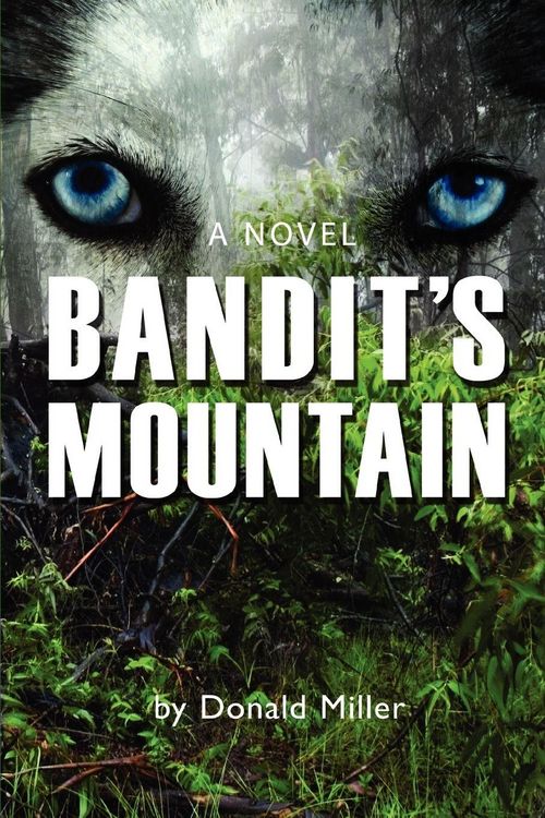 Produktbild: Bandit's Mountain