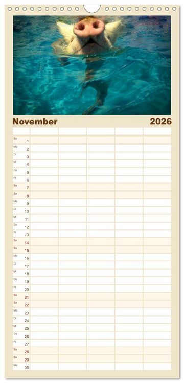Produktbild: Familienplaner 2026 - Schwimmende Schweine auf den Bahamas! mit 5 Spalten (Wandkalender, 21 x 45 cm) CALVENDO