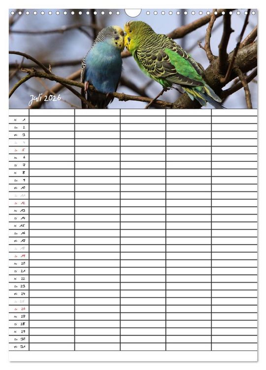 Produktbild: Wellensittiche (Wandkalender 2026 DIN A3 hoch), CALVENDO Monatskalender