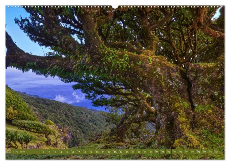 Produktbild: Madeira - Fr&uuml;hlingsinsel im Atlantik (hochwertiger Premium Wandkalender 2026 DIN A2 quer), Kunstdruck in Hochglanz
