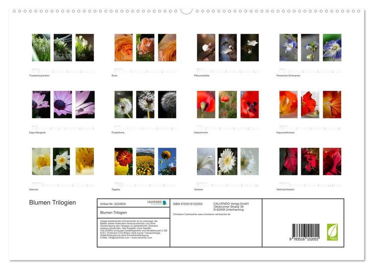 Produktbild: Blumen Trilogien (hochwertiger Premium Wandkalender 2026 DIN A2 quer), Kunstdruck in Hochglanz
