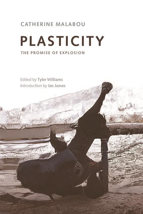 Produktbild: Plasticity