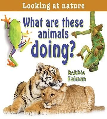 Produktbild: What Are These Animals Doing?