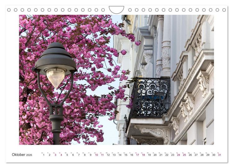 Produktbild: Japanische Kirschbl&uuml;te in Bonn (Wandkalender 2026 DIN A4 quer), CALVENDO Monatskalender