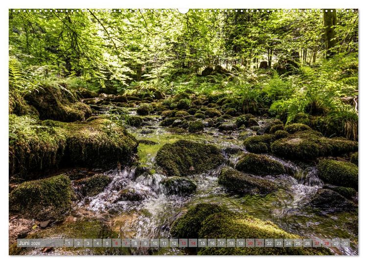 Produktbild: Ein Jahr im Schwarzwald (hochwertiger Premium Wandkalender 2026 DIN A2 quer), Kunstdruck in Hochglanz