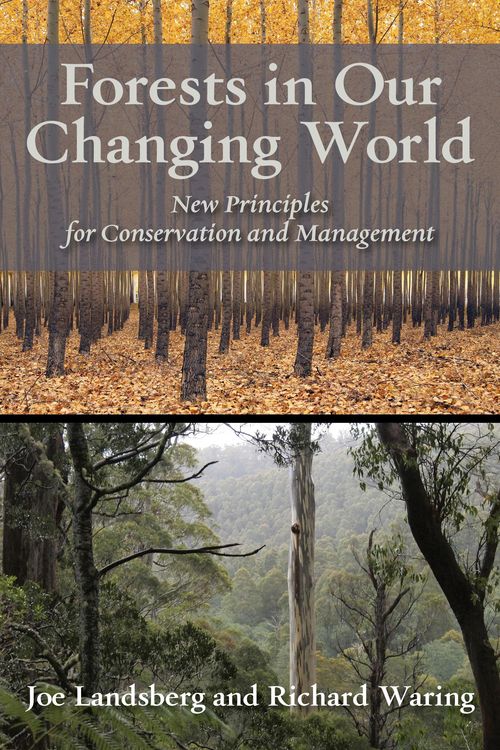 Produktbild: Forests in Our Changing World