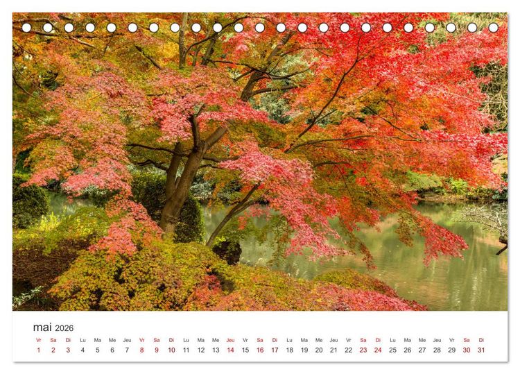 Produktbild: Jardiner au Japon (Calendrier de bureau 2026 DIN A5 vertical), CALVENDO calendrier mensuel