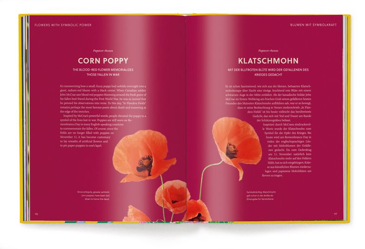 Produktbild: Floramour: Wildblumen