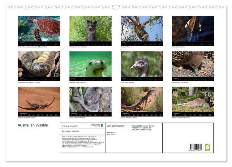 Produktbild: Australian Wildlife (Wandkalender 2026 DIN A2 quer), CALVENDO Monatskalender