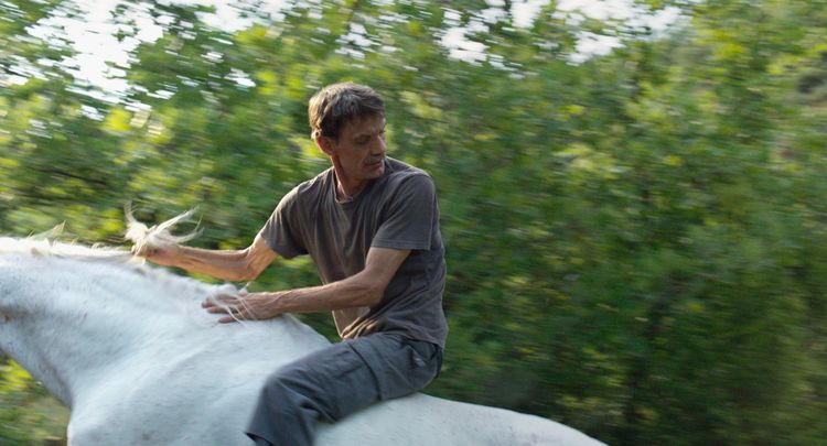 Produktbild: Western