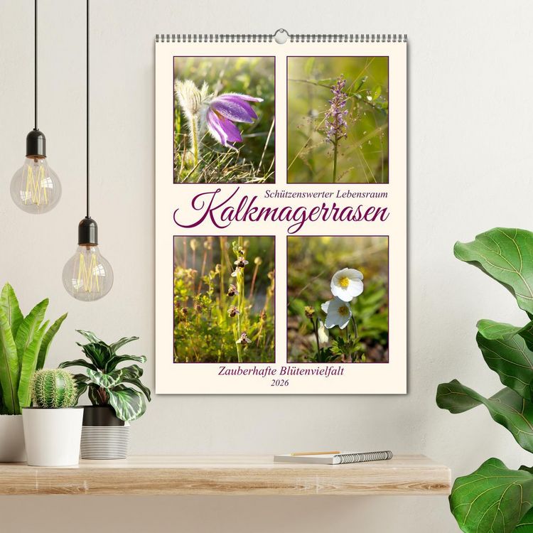 Produktbild: Kalkmagerrasen (Wandkalender 2026 DIN A2 hoch), CALVENDO Monatskalender