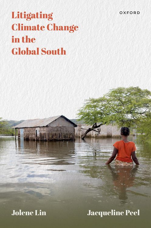 Produktbild: Litigating Climate Change in the Global South