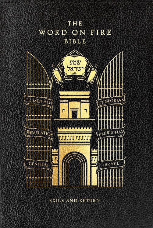 Produktbild: The Word on Fire Bible