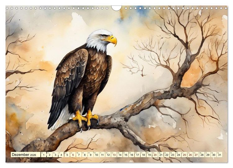 Produktbild: Wei&szlig;kopfseeadler - Majest&auml;tische V&ouml;gel (Wandkalender 2026 DIN A3 quer), CALVENDO Monatskalender