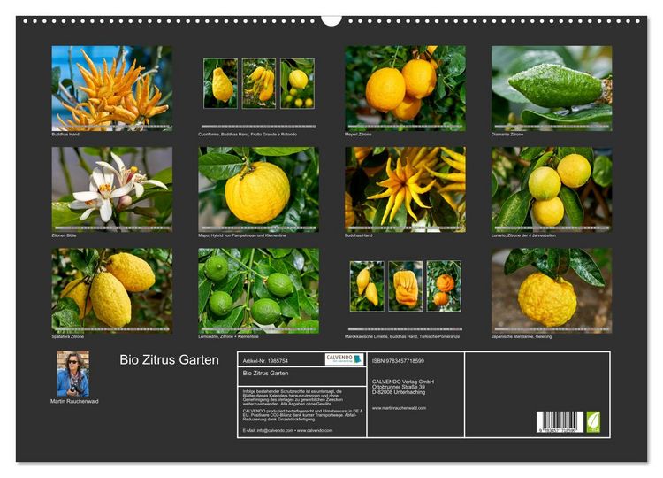 Produktbild: Bio Zitrus Garten (Wandkalender 2026 DIN A2 quer), CALVENDO Monatskalender