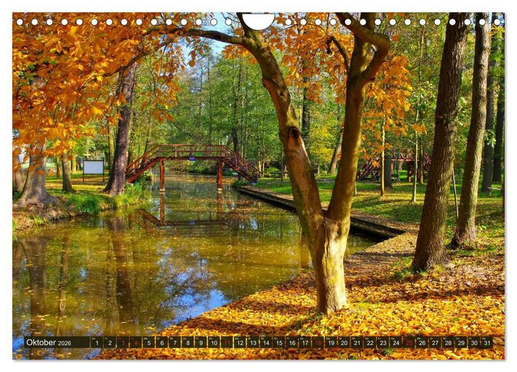 Produktbild: Spreewald - Malerische Kulturlandschaft in Brandenburg (Wandkalender 2026 DIN A4 quer), CALVENDO Monatskalender