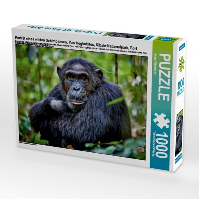 Produktbild: CALVENDO Puzzle Portr&auml;t eines wilden Schimpansen, Pan troglodytes, Kibale-Nationalpark, Fort Portal, Uganda, Afrika | 1000 Teile Lege-Gr&ouml;&szlig;e 64x48cm Foto-Puzzle f&uuml;r gl&uuml;ckliche Stunden