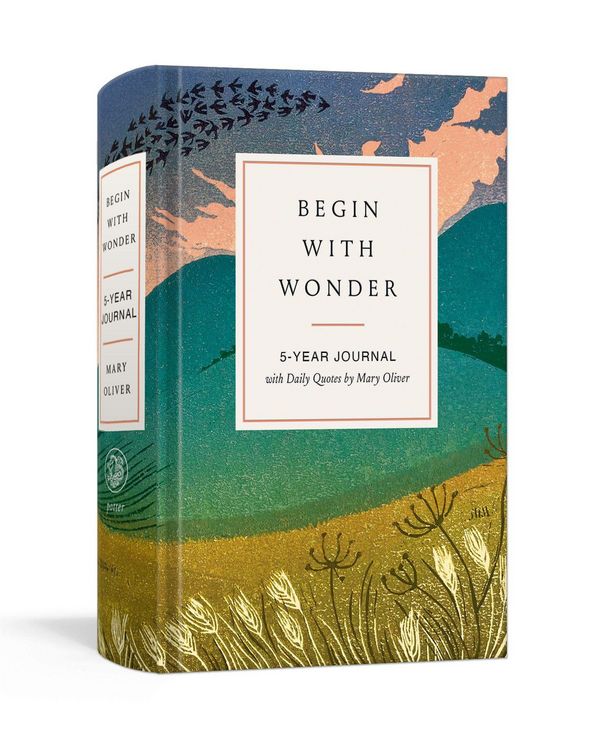 Produktbild: Begin with Wonder