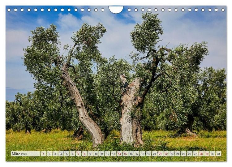 Produktbild: Apulien (Wandkalender 2026 DIN A4 quer), CALVENDO Monatskalender