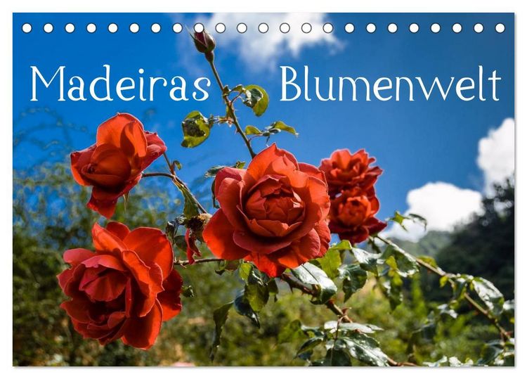 Produktbild: Madeiras Blumenwelt (Tischkalender 2027 DIN A5 quer), CALVENDO Monatskalender
