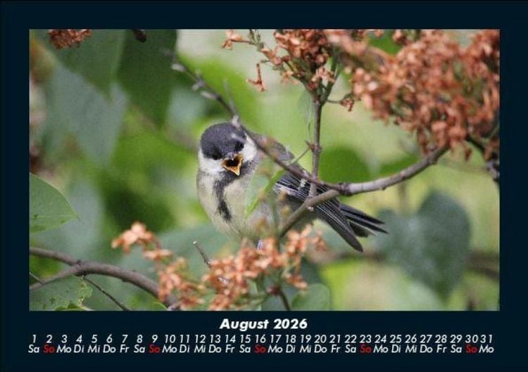 Produktbild: Pflanzen und Bl&uuml;ten 2026 Fotokalender DIN A5