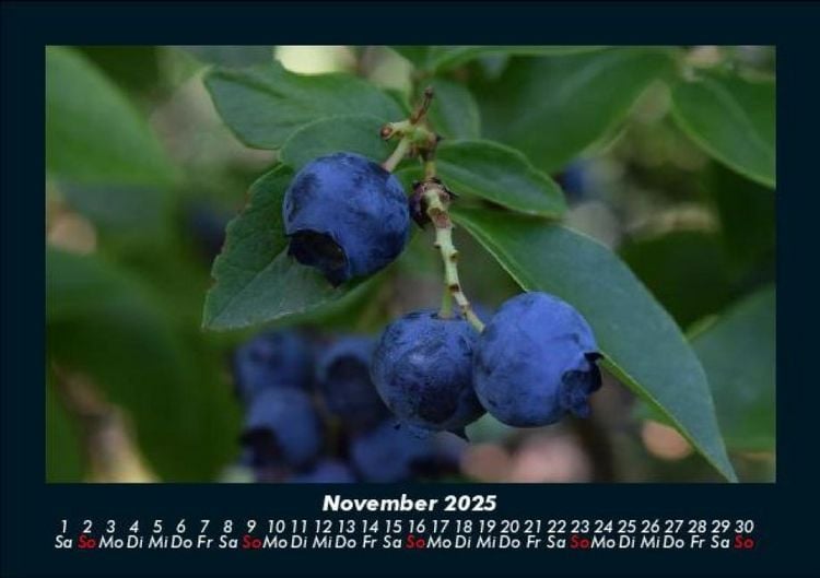 Produktbild: Obstkalender 2025 Fotokalender DIN A5