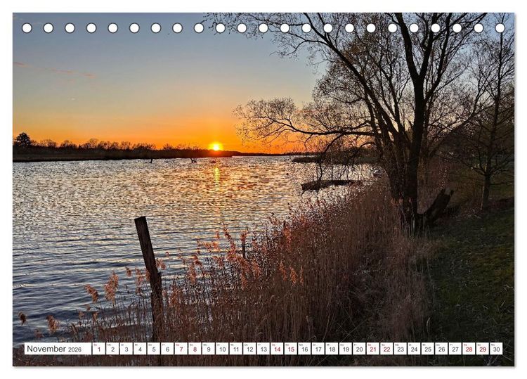 Produktbild: Wildes Wendland (Tischkalender 2026 DIN A5 quer), CALVENDO Monatskalender